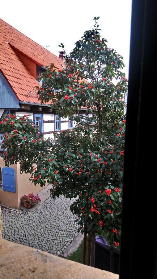 Ferienhaus Nicolaus Radebeul Exterior photo